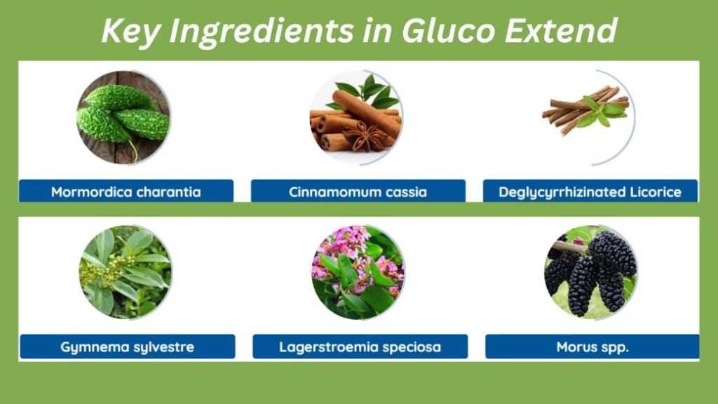 Gluco Extend Review