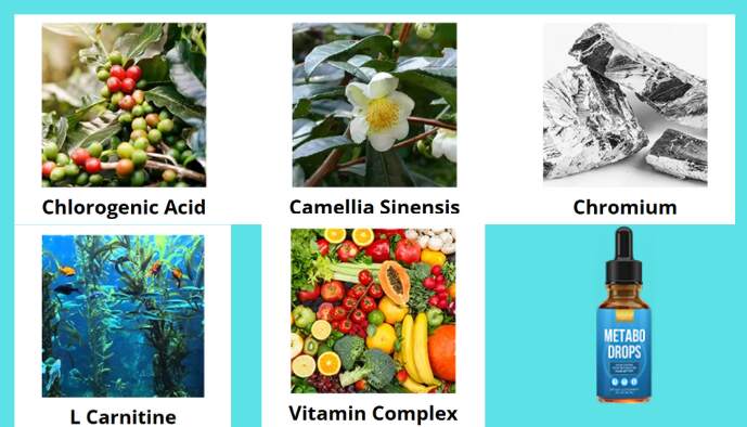 Metabo Drops Reviews Ingredients Image