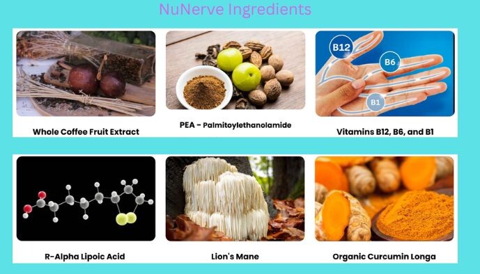 NuNerve Reviews Ingredients Image
