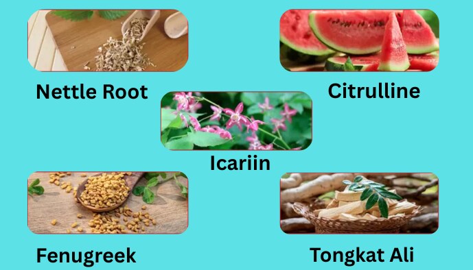 Red Boost Supplement Ingredients Image Red Boost Reviews Supplement Ingredients Image