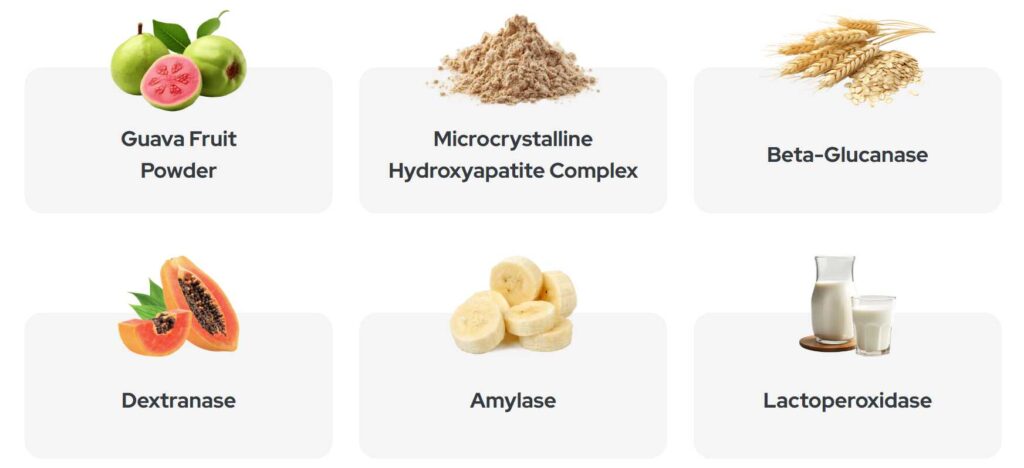 Synadentix Ingredients Image